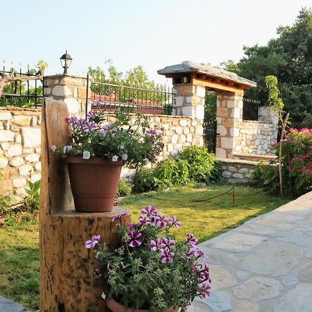 Vasilis House Villa Theologos  Dış mekan fotoğraf