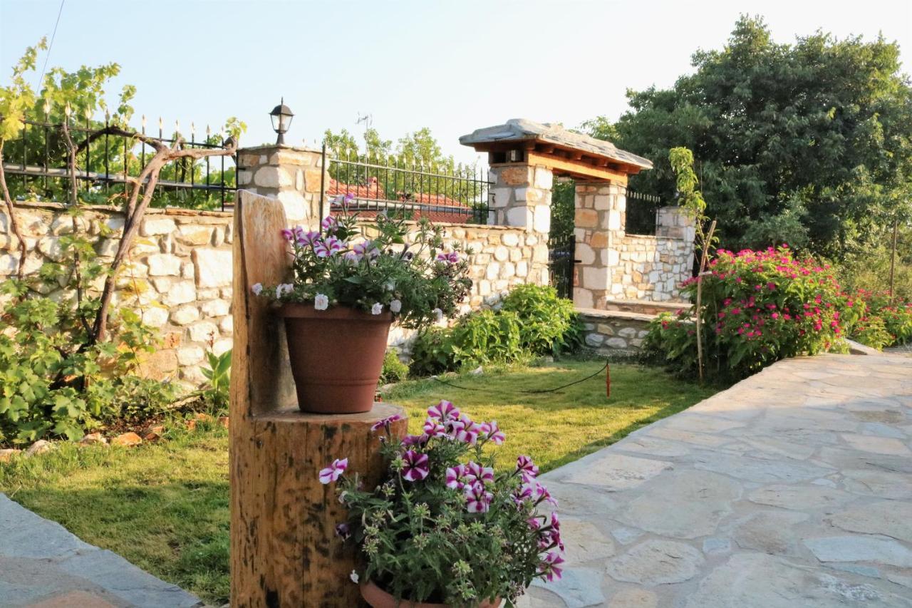 Vasilis House Villa Theologos  Dış mekan fotoğraf